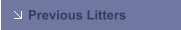 Previous Litters